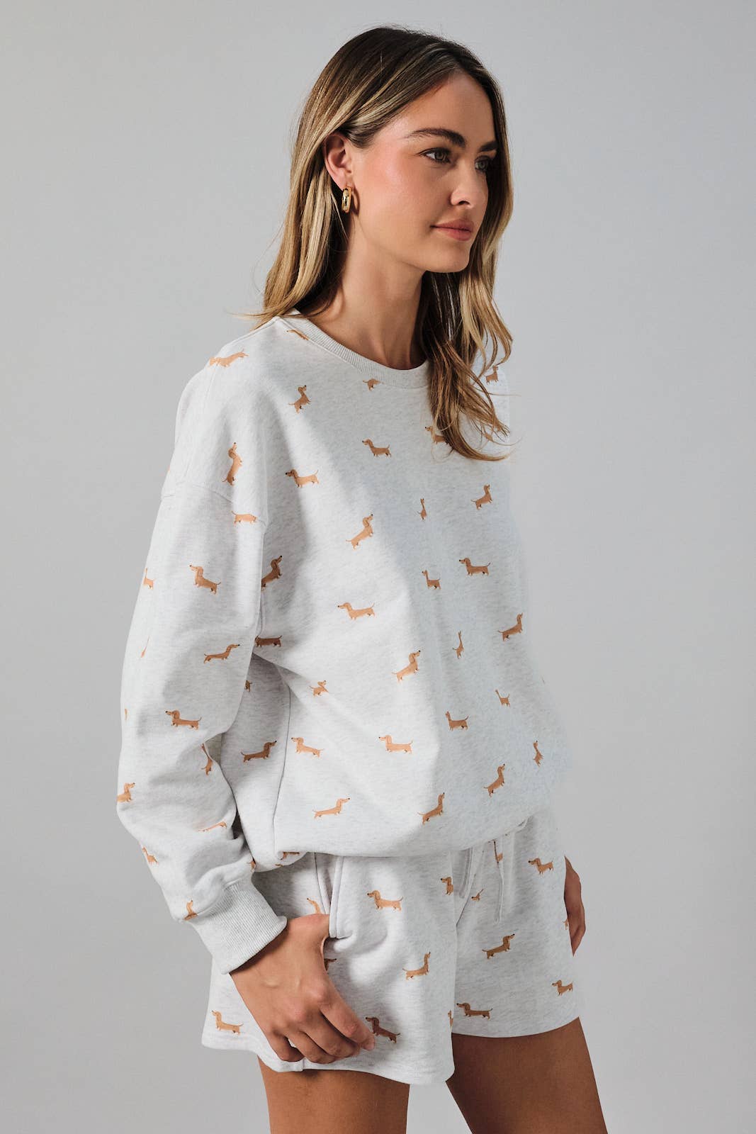 Dachshund Sweatshirt