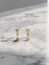 Double Drop Earring